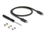 DELOCK Externes Gehäuse M.2 SATA SSD mit USB Type-C Buchse