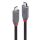 Lindy 36958 USB Kabel USB4 Gen 3x2 2 m USB C 40 Gbit/s 240 W Schwarz