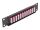 DeLOCK 10″ LWL Patchpanel 12 Port LC Quad violett 1 HE schwarz