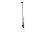 Equip 32"-60" Doppelbildschirm-Deckenhalterung