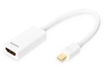 Digitus DisplayPort Adapter / Konverter