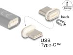 DELOCK Magnetischer Adapter USB Type-C Stecker