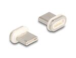 DELOCK Magnetischer Adapter USB Type-C Stecker