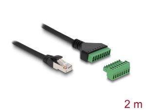 DELOCK RJ45 Kabel Cat.6 Stecker zu Terminalblock Adapter 2 m