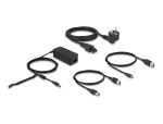 DELOCK USB Dockingstation Dual DisplayPort 4K / USB 3.2