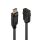 Lindy 41005 Videokabel-Adapter 0,15 m DisplayPort HDMI Schwarz