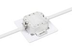 Intellinet 771917 Steckdose 2 x RJ-45 Weiß