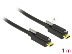 DELOCK USB-Kabel Supersp. 10Gbps C->C St/St je 1 Schr. 1m