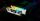 Kingston Technology FURY 64GB 6400MT/s DDR5 CL32 DIMM (2er-Kits) Renegade RGB Weiß XMP