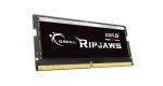 G.Skill Ripjaws F5-4800S4039A16GX1-RS Speichermodul 16 GB...