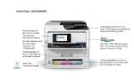 Epson WorkForce Pro EM-C800BAM