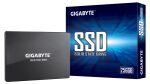 GIGABYTE GP-GSTFS31256GTND Internes Solid State Drive 256...