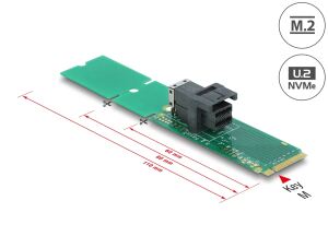 DELOCK Adapter M.2 Key M zu SFF-8643 NVMe 22110 / 2280