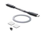 DELOCK magnet. Gehäuse USB-C 10Gbps -> 1x M.2 NVME/ SATA SSD