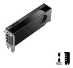 PNY RTX PRO 4000 Blackwell NVIDIA 24 GB GDDR7