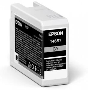 Epson UltraChrome Pro Druckerpatrone 1 Stück(e) Original Grau