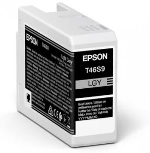 Epson UltraChrome Pro Druckerpatrone 1 Stück(e) Original Hellgrau