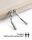 Inateck LB01011 33 cm (13") Schutzhülle Beige