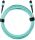 Zyxel 100G QSFP Breakout Kabel für QSFP100G-SR4  850nm, 10m