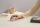 ASUS MD105 MOUSE/MK-WH Maus Universal rechts RF Wireless + Bluetooth 2400 DPI