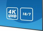 iiyama ProLite LE6540UHS++B-Ware++65" 16:9 4K 18/7 Display schwarz