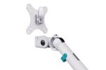 Digitus Dual Design Monitorhalterung, 2x 35", 2x 10 kg