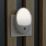 Entac Nachtlicht 0,5 W oval CW weiß