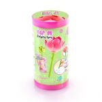 Canaltoys Flower Pen 1er-Pack im Display