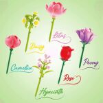 Canaltoys Flower Pen 1er-Pack im Display