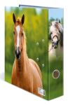 HERMA 20097 Ringmappe A4 Mehrfarbig
