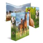HERMA 20097 Ringmappe A4 Mehrfarbig