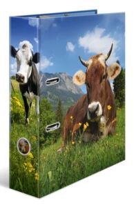 HERMA 20140 Ringmappe A4 Mehrfarbig