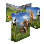HERMA 20140 Ringmappe A4 Mehrfarbig