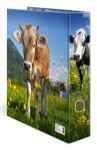 HERMA 20140 Ringmappe A4 Mehrfarbig