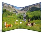 HERMA 20140 Ringmappe A4 Mehrfarbig