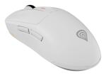 GENESIS NMG-2194 Maus Gaming Beidhändig Bluetooth + USB Type-C Optisch 26000 DPI