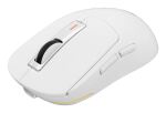 GENESIS NMG-2194 Maus Gaming Beidhändig Bluetooth + USB Type-C Optisch 26000 DPI