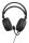 GENESIS NSG-2307 Kopfhörer & Headset Kabelgebunden Kopfband Gaming USB Typ-A Schwarz