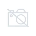 DMAX Taschenlampe TLG 201