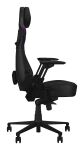 ASUS ROG Courser Universal-Gamingstuhl Gepolsterter Sitz Schwarz