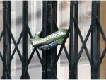 MASTER LOCK Fahrradkettenschloss mit Zahlenschloss-8028EURD