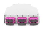 Digitus LWL-Hutschienenbox, MM-OM4, bestückt, mit SC-Adapter und Pigtail