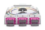 Digitus LWL-Hutschienenbox, MM-OM4, bestückt, mit SC-Adapter und Pigtail