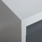 Phoenix Safe Co. FC1002GAK Aktenschrank Stahl Anthrazit, Weiß