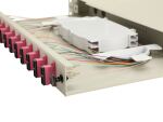 Equip 12-Port-Glasfaser-Spleißbox, SC-Duplex, OM4, 1 HE, ausgestattet, Grau