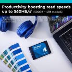 WD SSD 2.5" 1TB Blue SATA3 (Di)