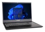 TERRA MOBILE 1516R i5-1334U W11P