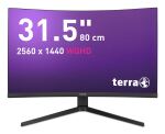 TERRA LCD/LED 3285W HA black CURVED USB-C/HDMI/DP