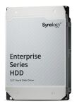 Synology HAS5320-24T Interne Festplatte 24 TB 7200 RPM...