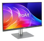 ASUS ProArt PA249CGV Computerbildschirm 60,5 cm (23.8") 1920 x 1080 Pixel Full HD LCD Schwarz, Silber